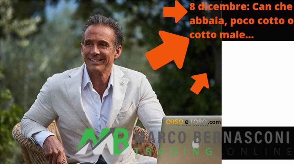 8 dicembre: Can che abbaia, poco cotto o cotto male...